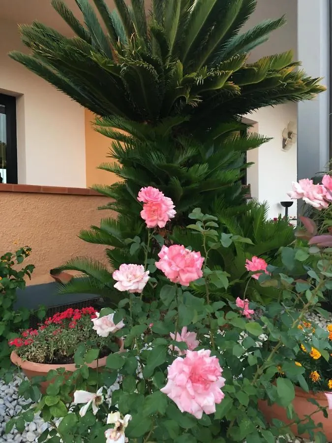 Residence Alithai Portoferraio Appartement